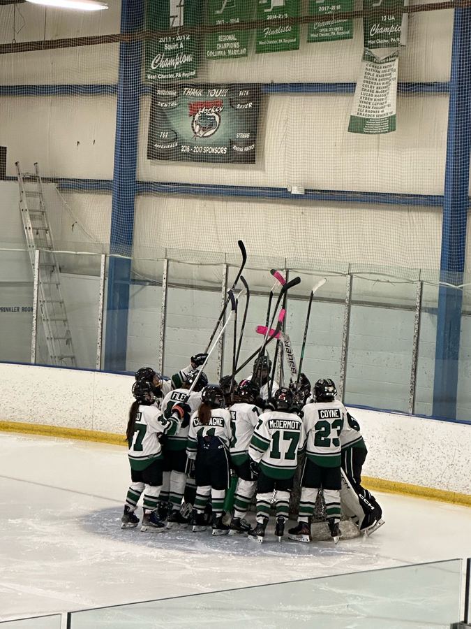 Team huddle with sticks raised